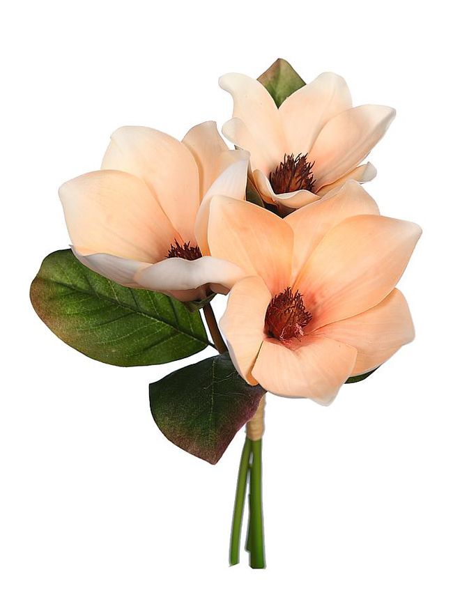 PRODUCTO DE EUROFLORINA