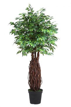 PRODUCTO DE EUROFLORINA
