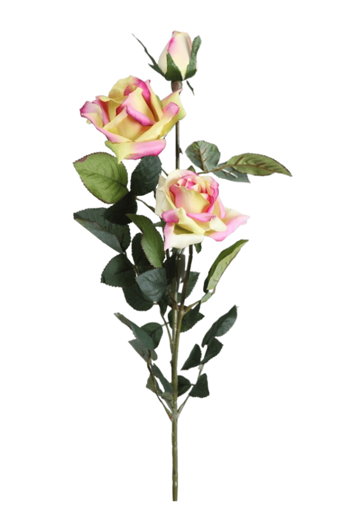 ROSA X3 93CM