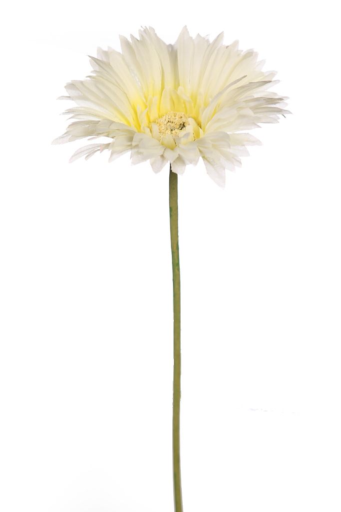 VARA GERBERA 55CM RF. 66298B