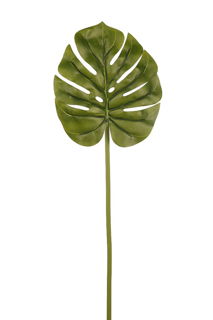 HOJA FILODENDRO 60CM RF. AD0278