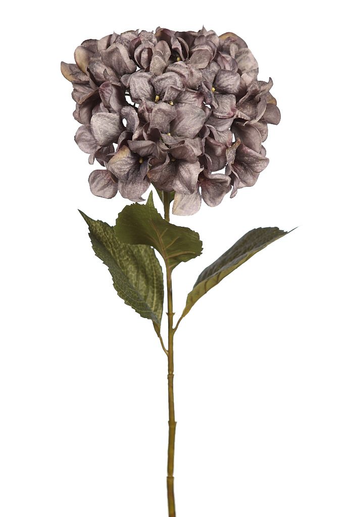 VARA HORTENSIA 75CM RF. AD0357GR