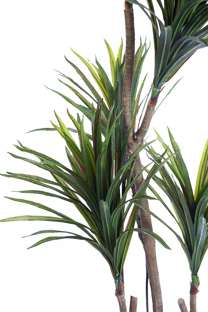PLANTA YUCCA 185CM RF. KD9002 - Imagen 2