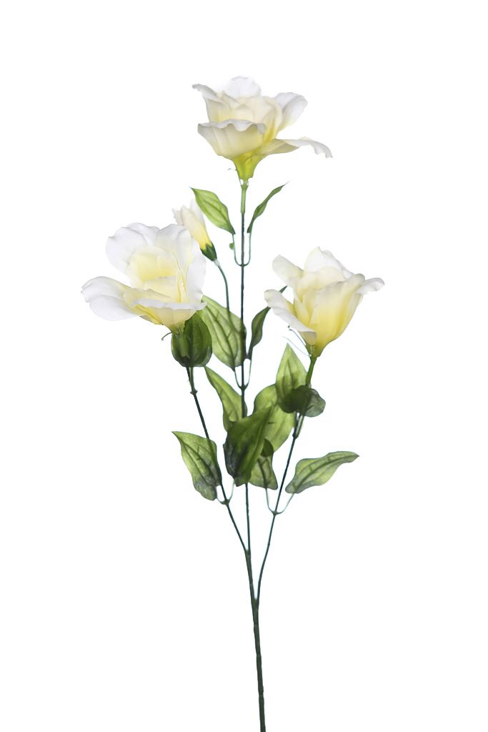 VARA LISANTHUS 70CM RF. 72018B