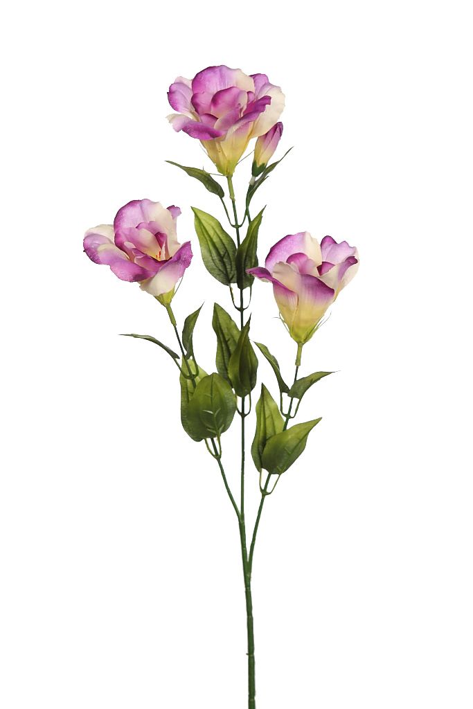 VARA LISANTHUS 70CM RF. 72018L