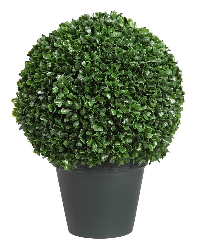 PRODUCTO DE EUROFLORINA