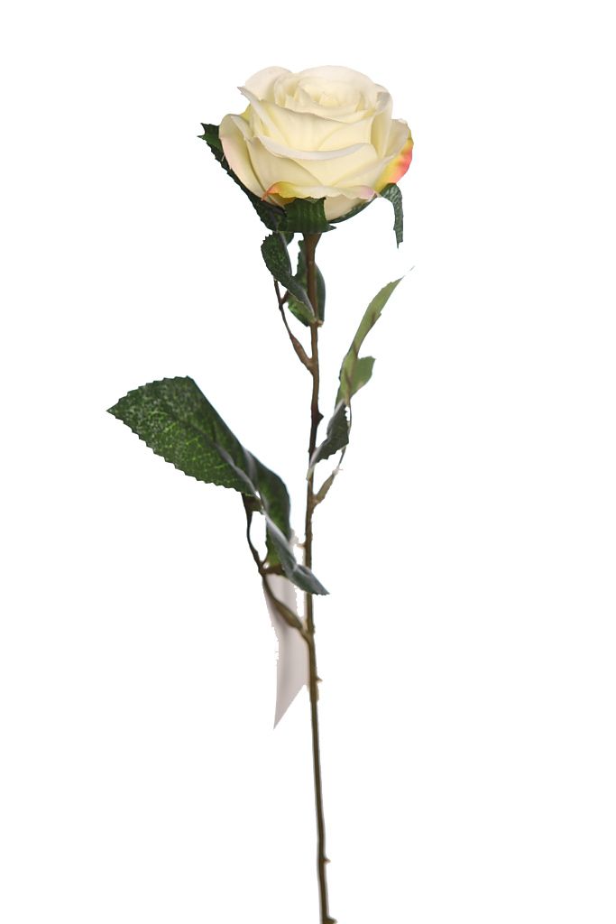 VARA ROSA 55CM RF. 71371L - Imagen 5
