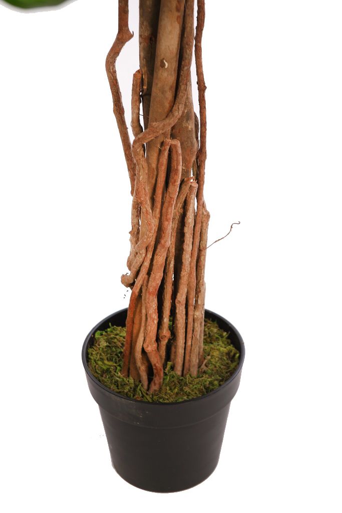 ÁRBOL BUGANVILLA 150 CM RF. B249TC - Imagen 3