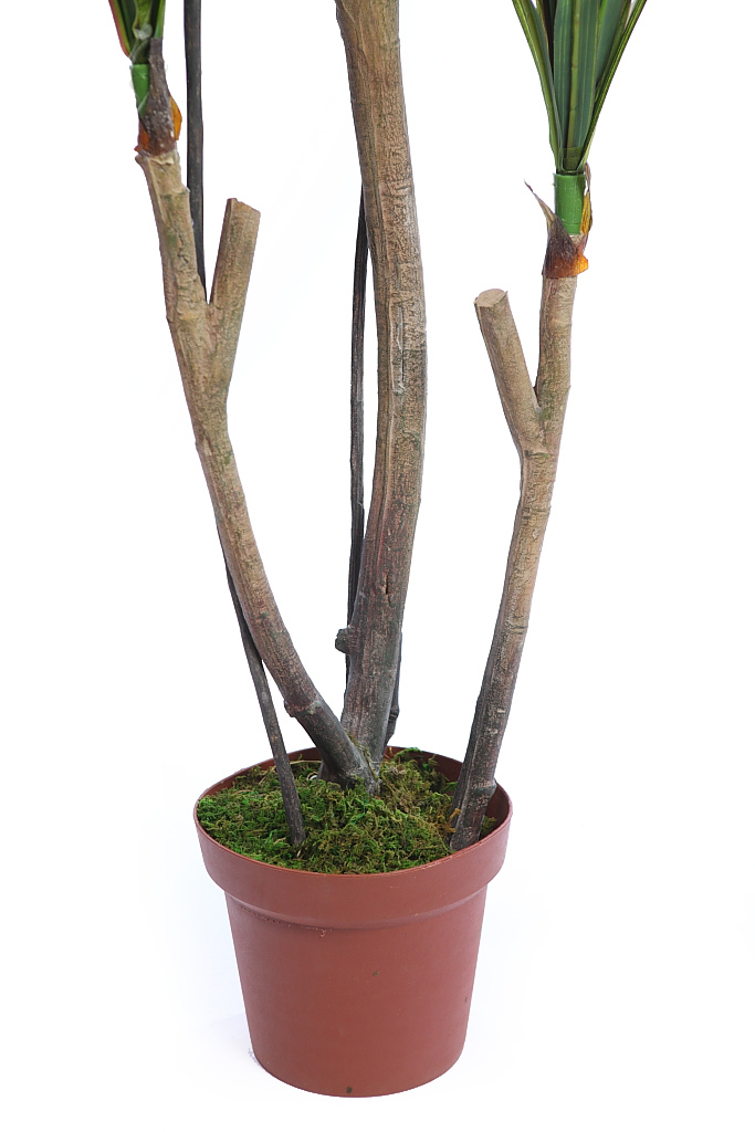 PLANTA YUCCA 185CM RF. KD9002 - Imagen 3