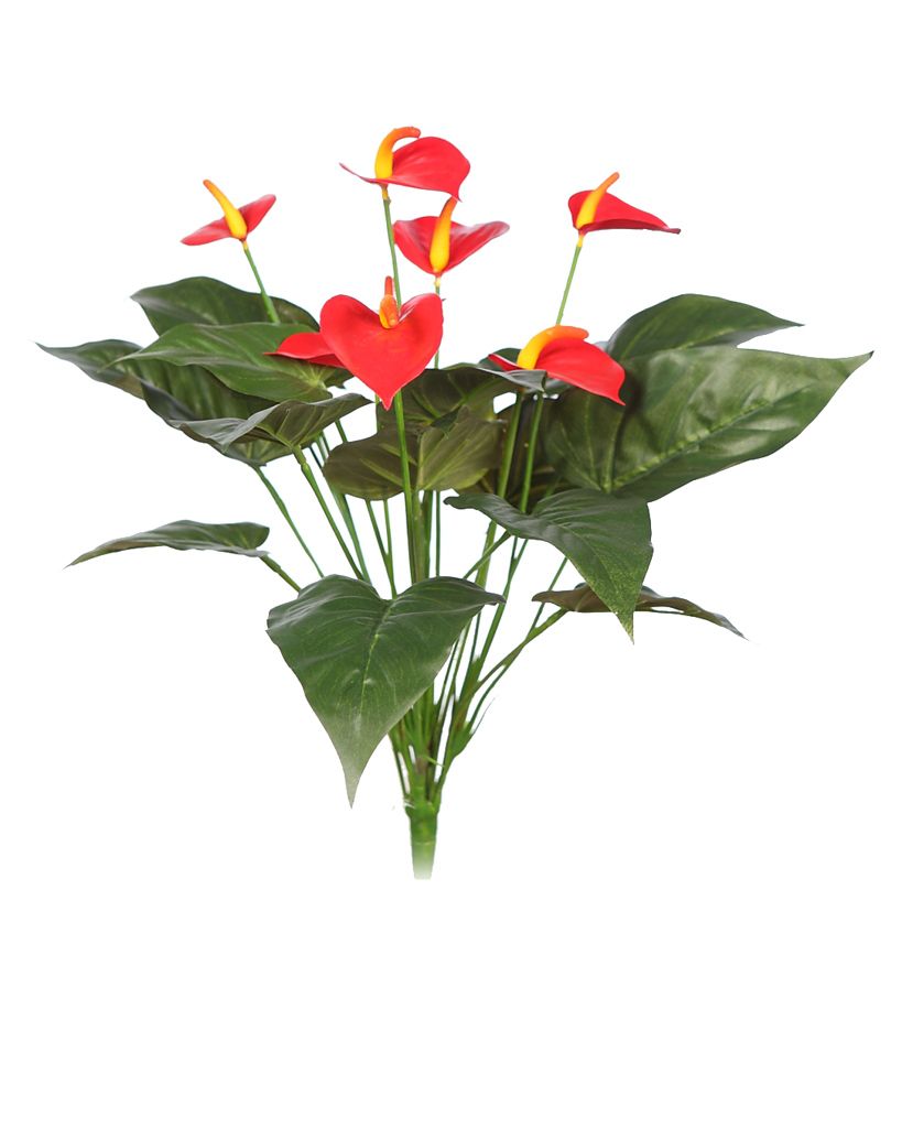 MACETA ANTURIUM 47CM RF. M72510