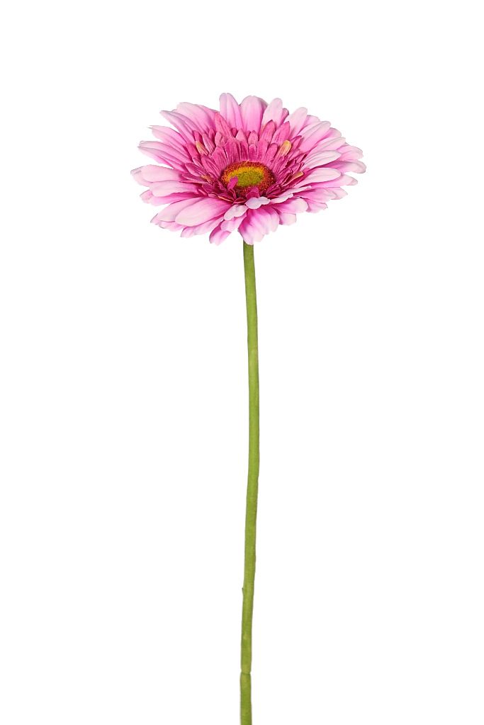 VARA GERBERA 64CM RF. AD361L