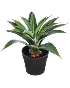 producto de euroflorina