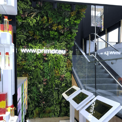 DECORACIÓN EN PERFUMERÍA PRIMOR (MADRID) - Imagen 2