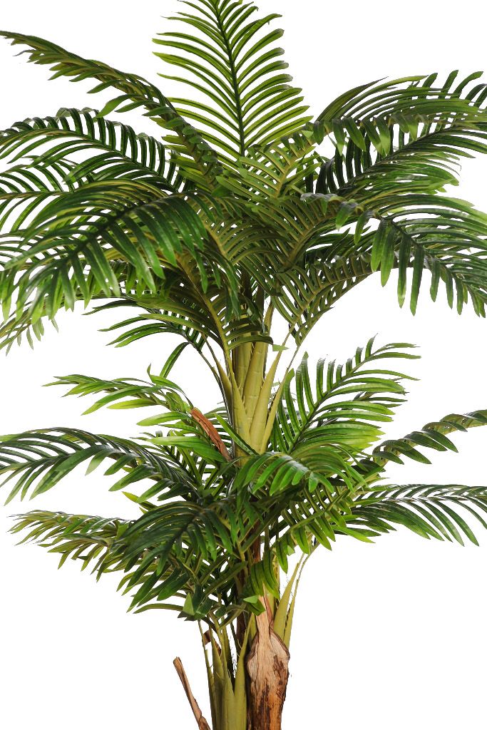 PALMERA 180CM RF.B101TJ - Imagen 2