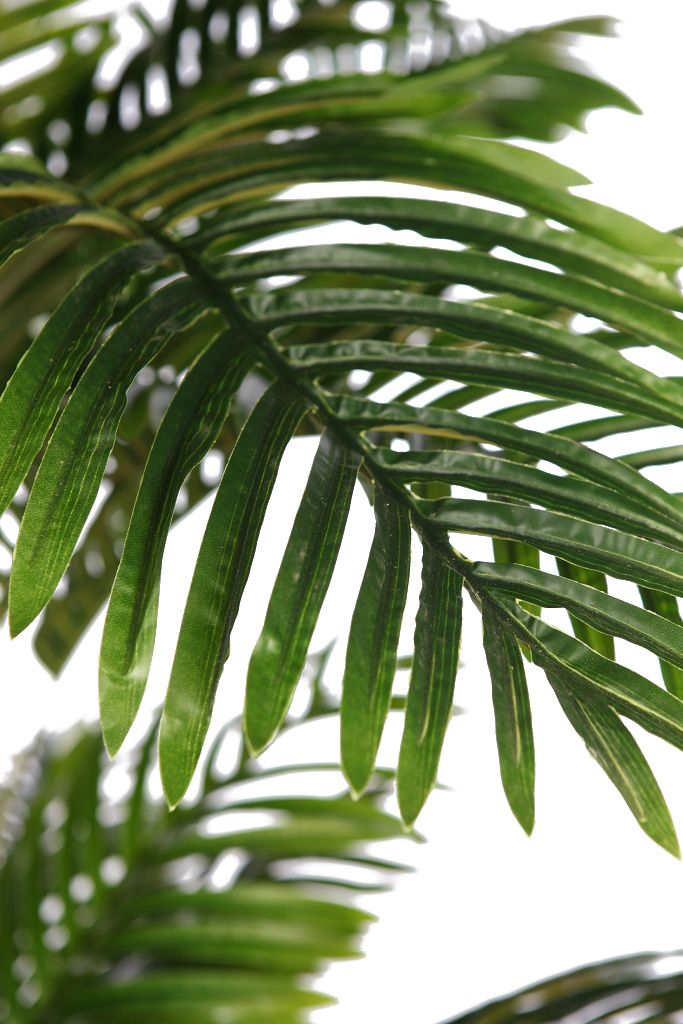 PALMERA 180CM RF.B101TJ - Imagen 3