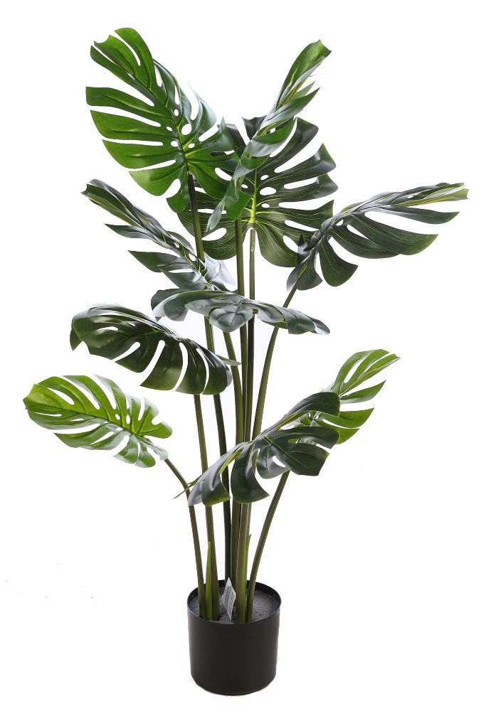 PLANTA MOSTERA 115CM RF. KD9306