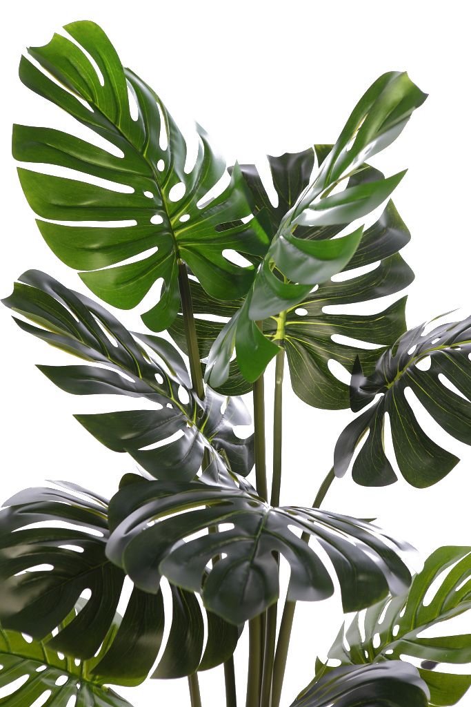 PLANTA MOSTERA 115CM RF. KD9306 - Imagen 2