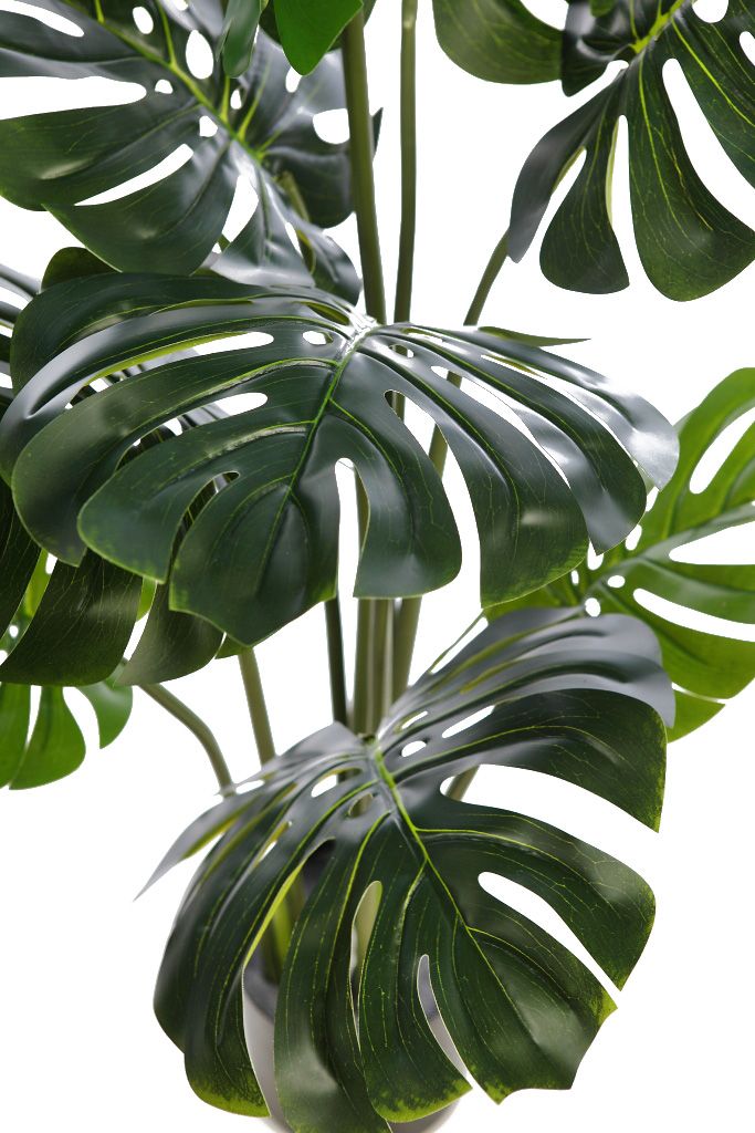 PLANTA MOSTERA 115CM RF. KD9306 - Imagen 3