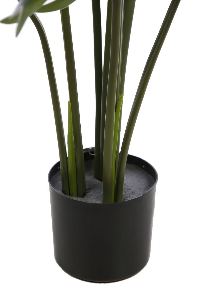 PLANTA MOSTERA 115CM RF. KD9306 - Imagen 4