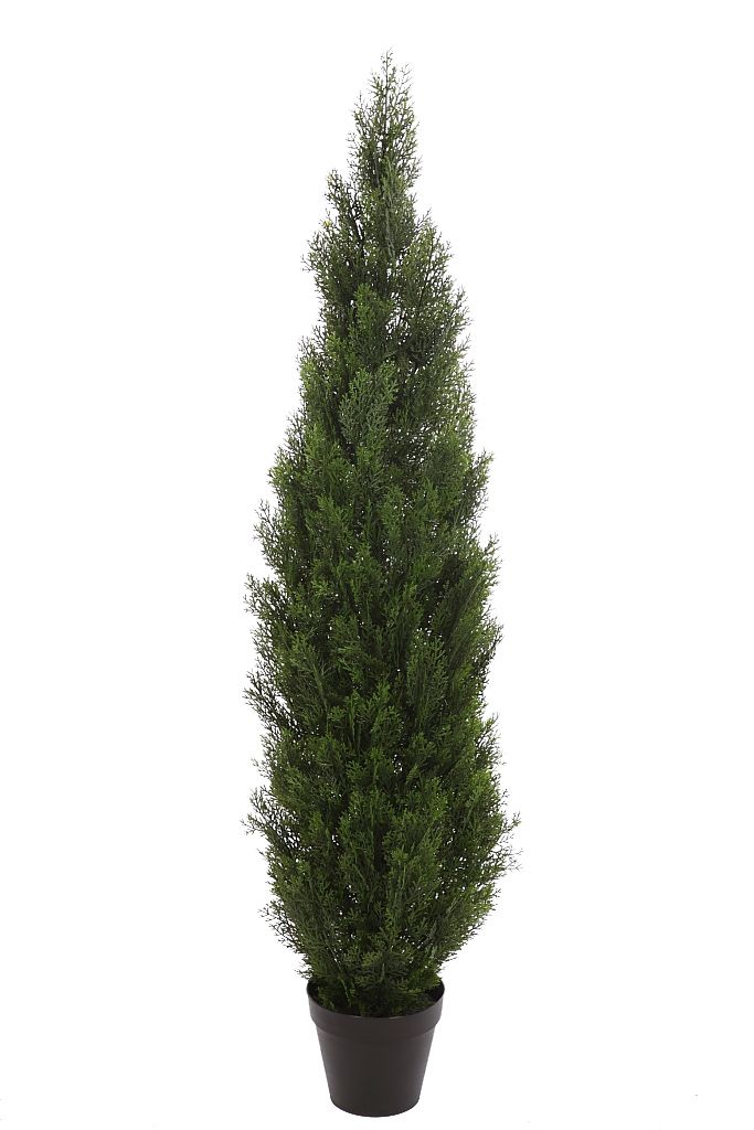 SETO TUYA 150CM RF. 72755