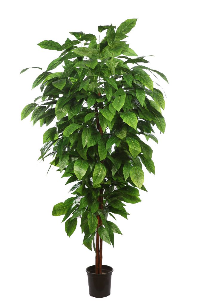 ÁRBOL MANGO 185CM RF. Y0425X24