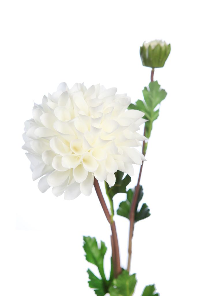 VARA DALIA 63 CM RF. Y0356.01 - Imagen 2