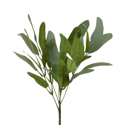 eucalipto 36CM