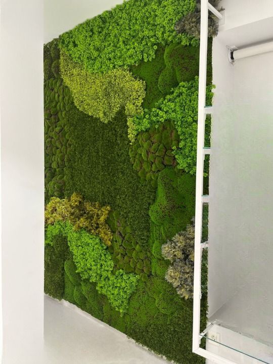 JARDIN VERTICAL 100 X 100 CM RF. JV010 - Imagen 2