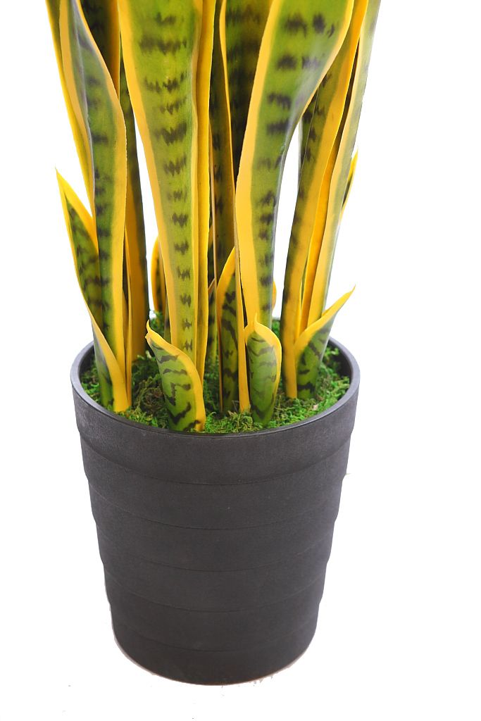 PLANTA SANSEVIERIA 106 CM RF. KD9113 - Imagen 3