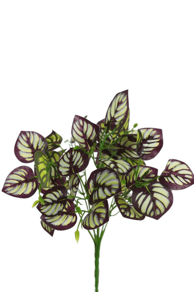 PLANTA HOJA