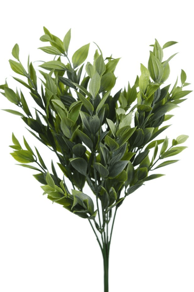 mata verde