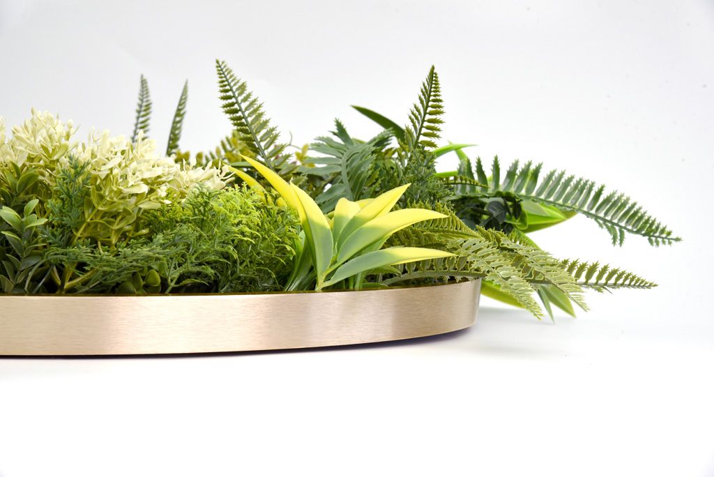 CUADRO VEGETAL 50 CM RF. K004BV027 - Imagen 2