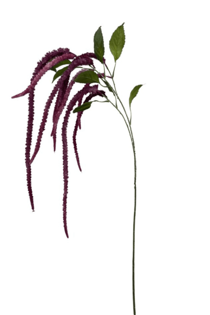 Vara de amaranthus (lila)