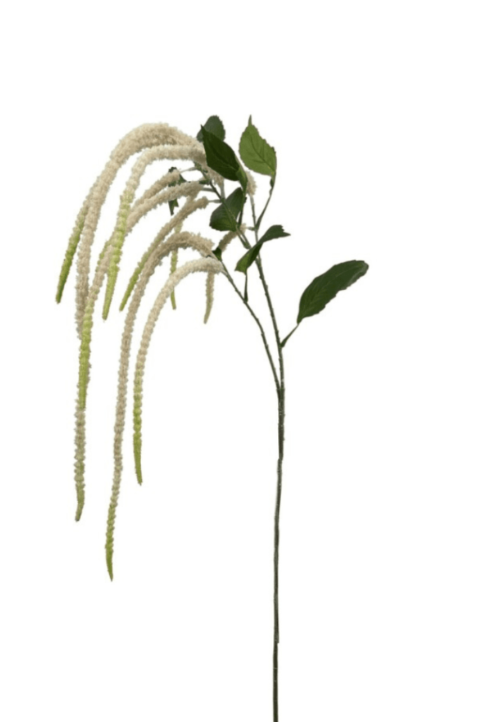 Vara de amaranthus (blanco)