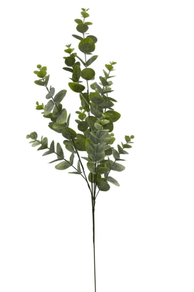 Vara de eucalipto x 12 (verde claro)