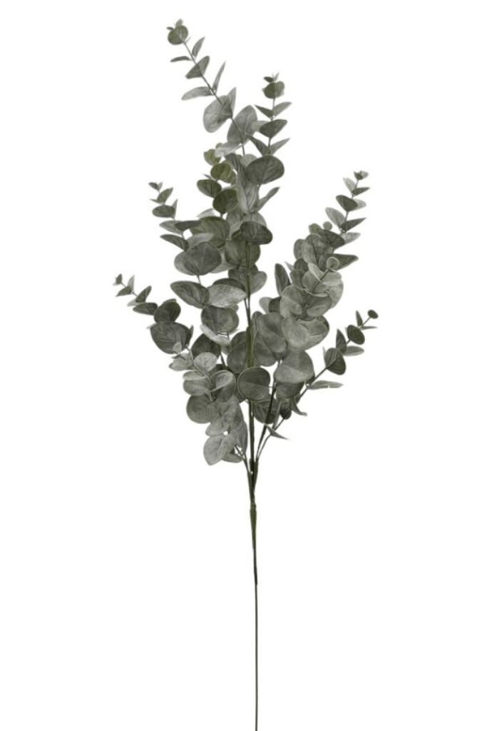 Vara de eucalipto x 12 (gris)
