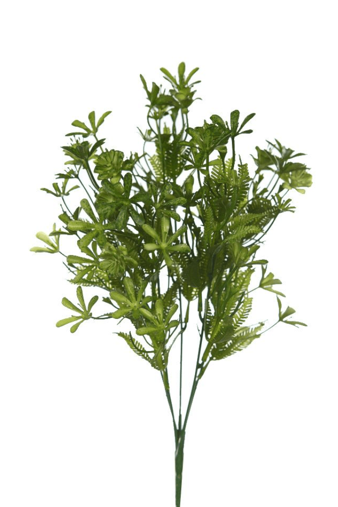 MATA SILVESTRE