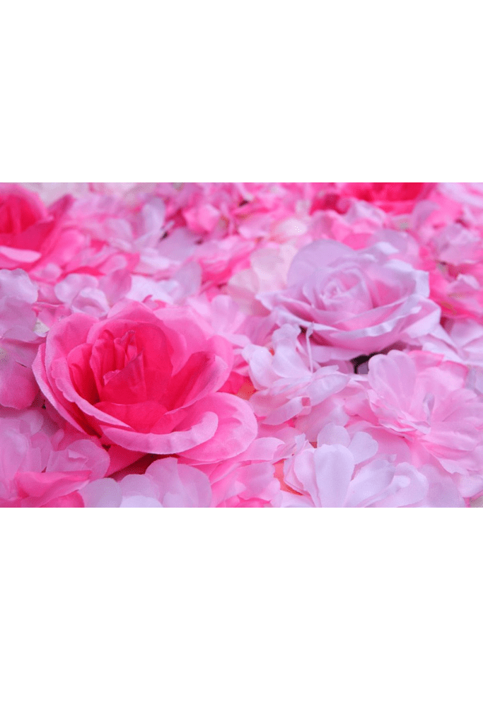 MURO ROSAS Y HORTENSIAS