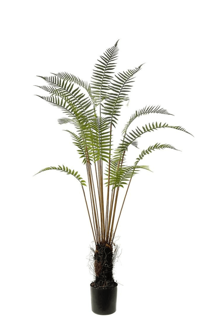 ÁRBOL HELECHO 180 CM RF. 212066