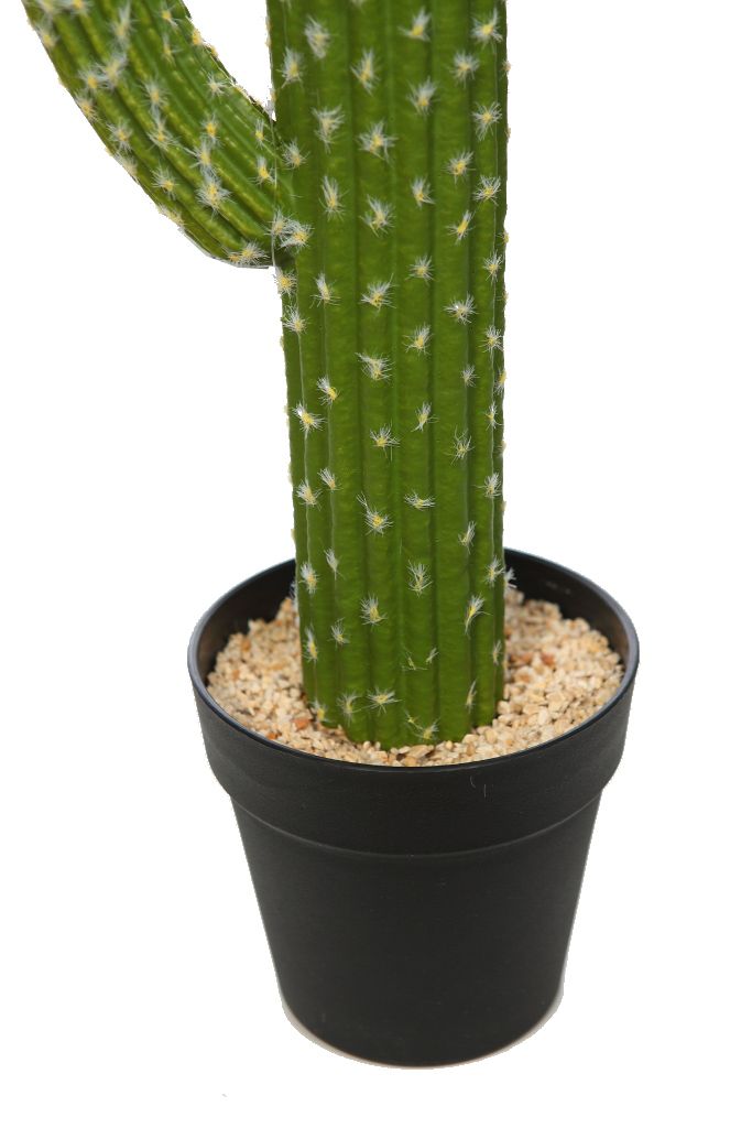 CACTUS EN MACETA 60CM RF. KD0015 - Imagen 3
