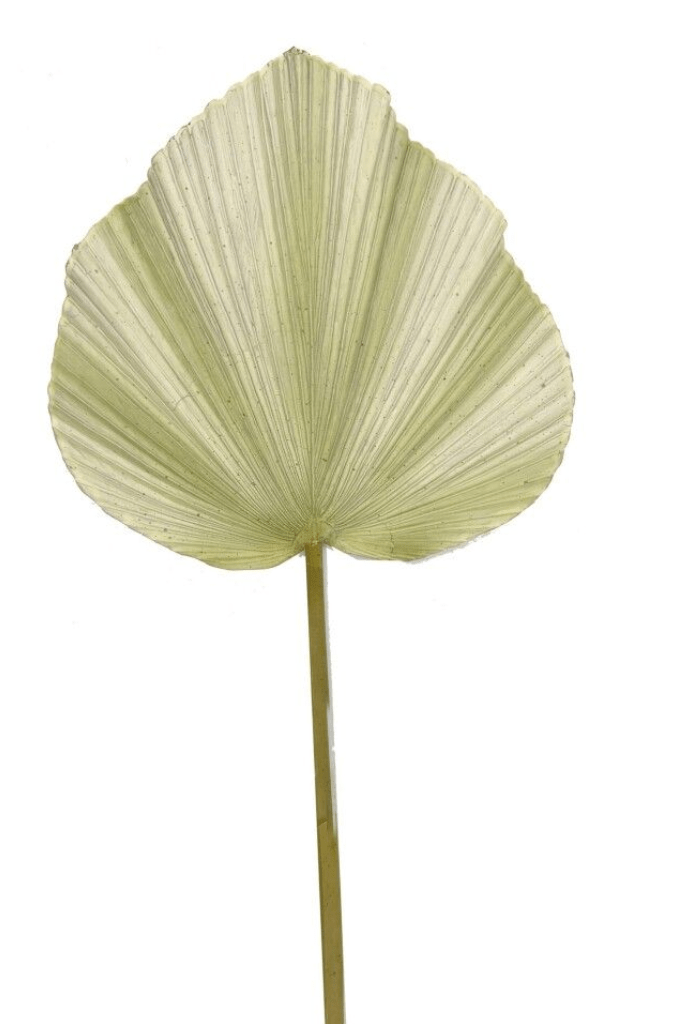943003