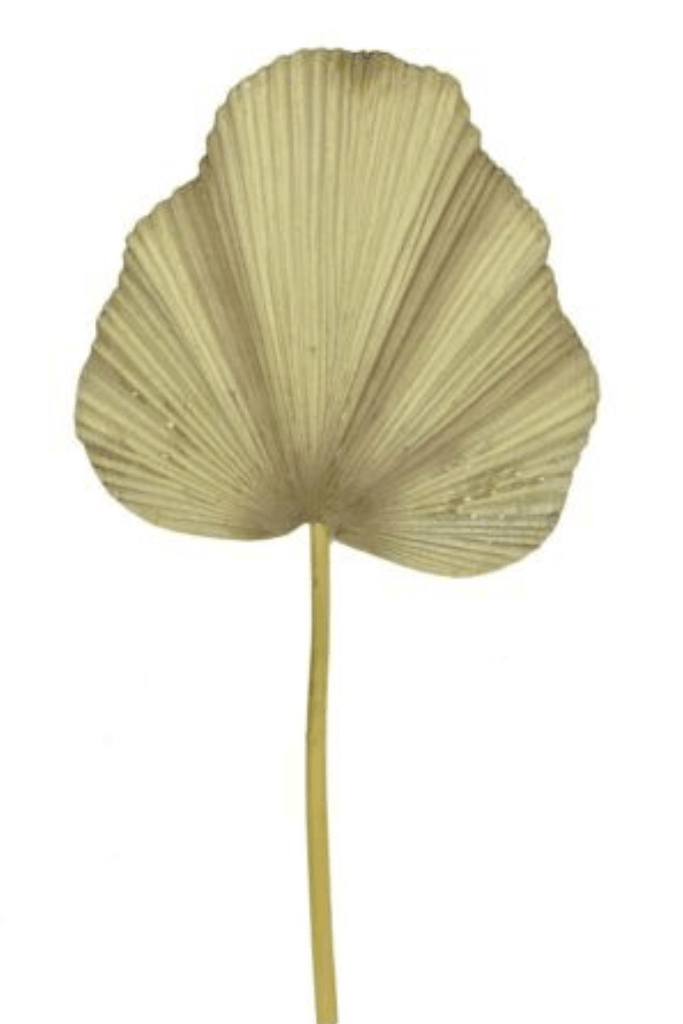 943004