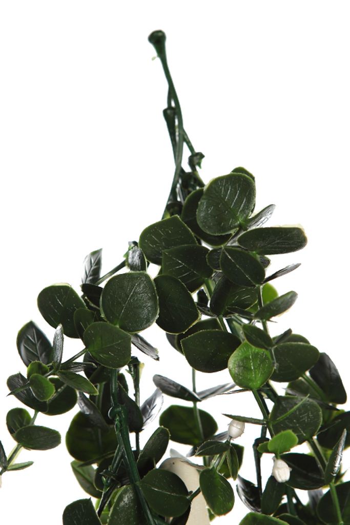 COLGANTE EUCALIPTO EXT. 60 CM RF. T008 - Imagen 3