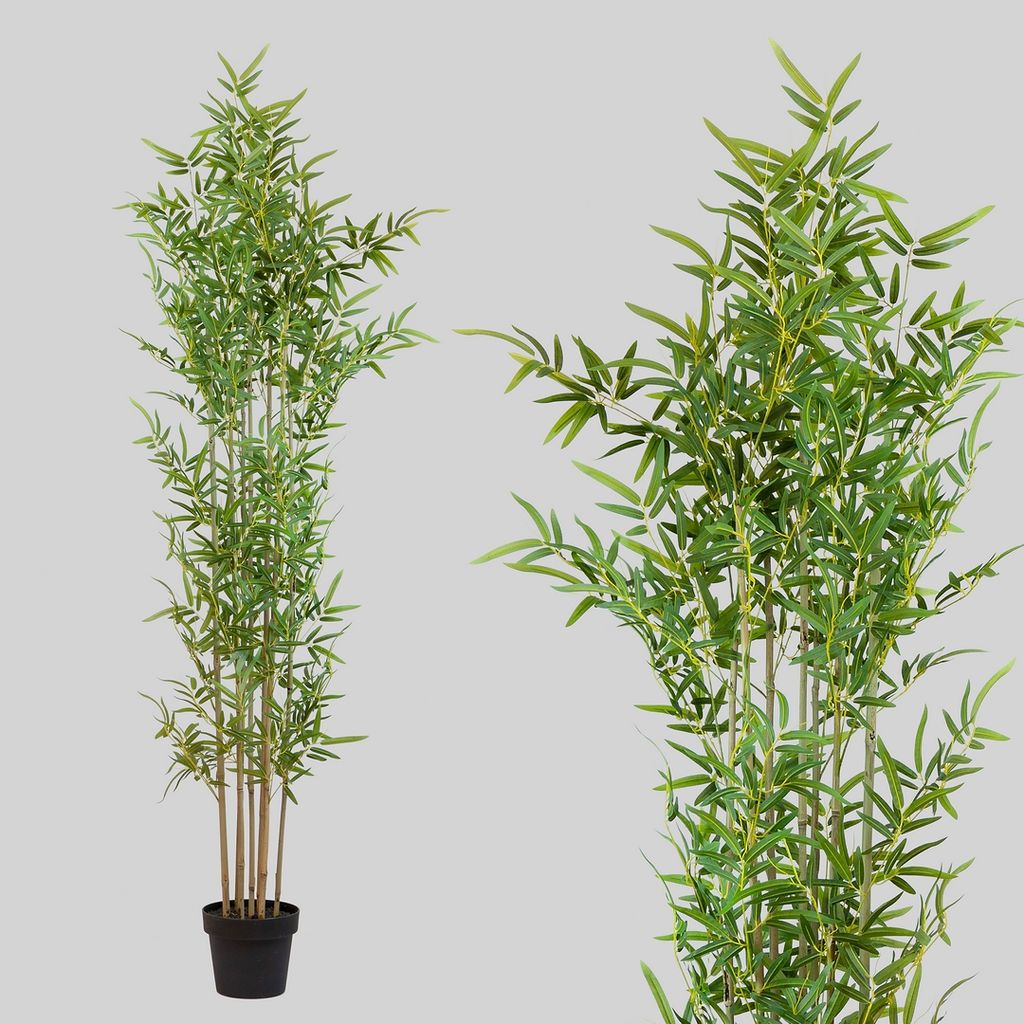 ARBOL BAMBU 24866