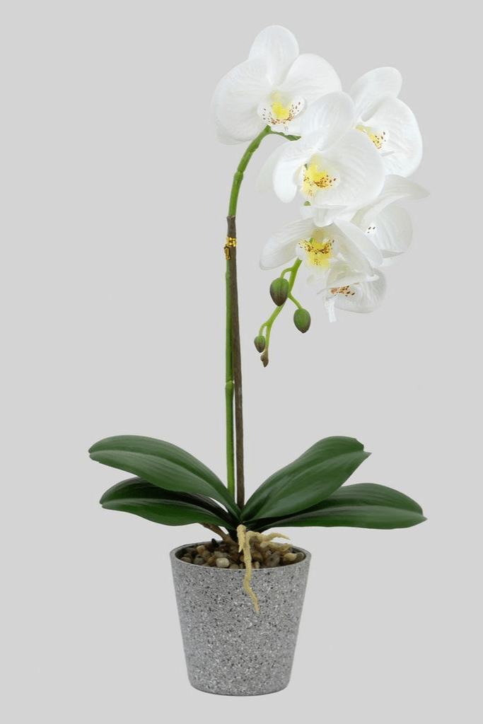 ORQUIDEA 44 CM 24592