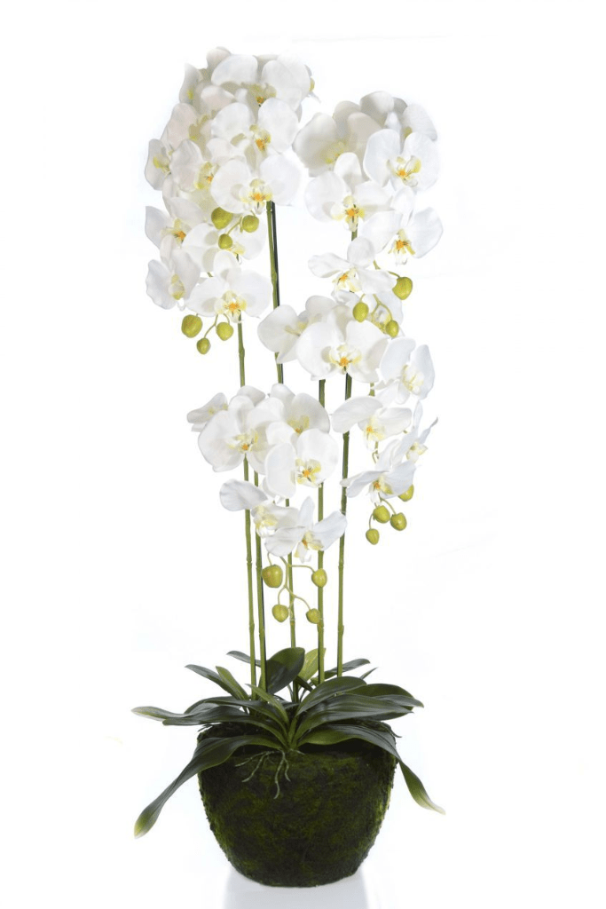 MACETA ORQUIDEA 16089