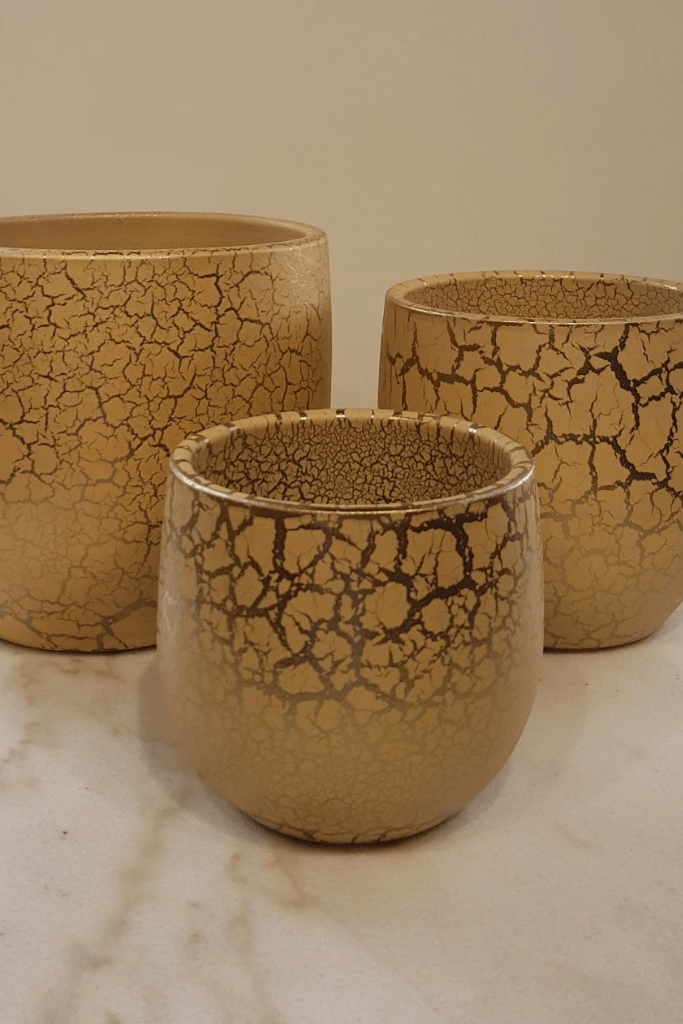 3 MACETEROS CRACLE ORO RF. 23864