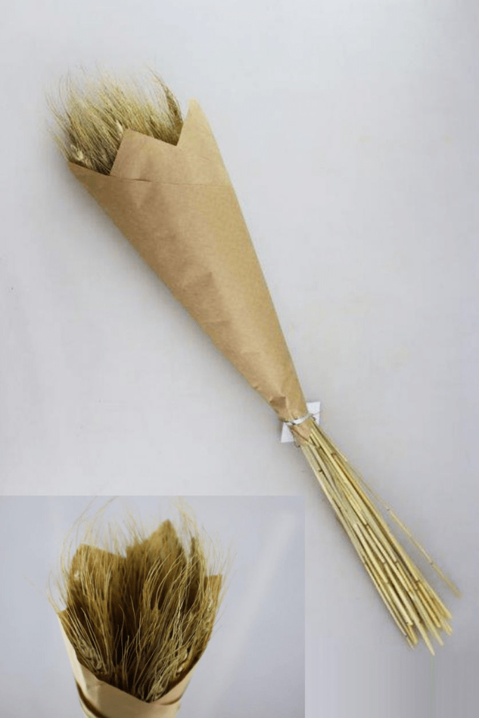 TRIGO NATURAL 90 GRAMOS 23648