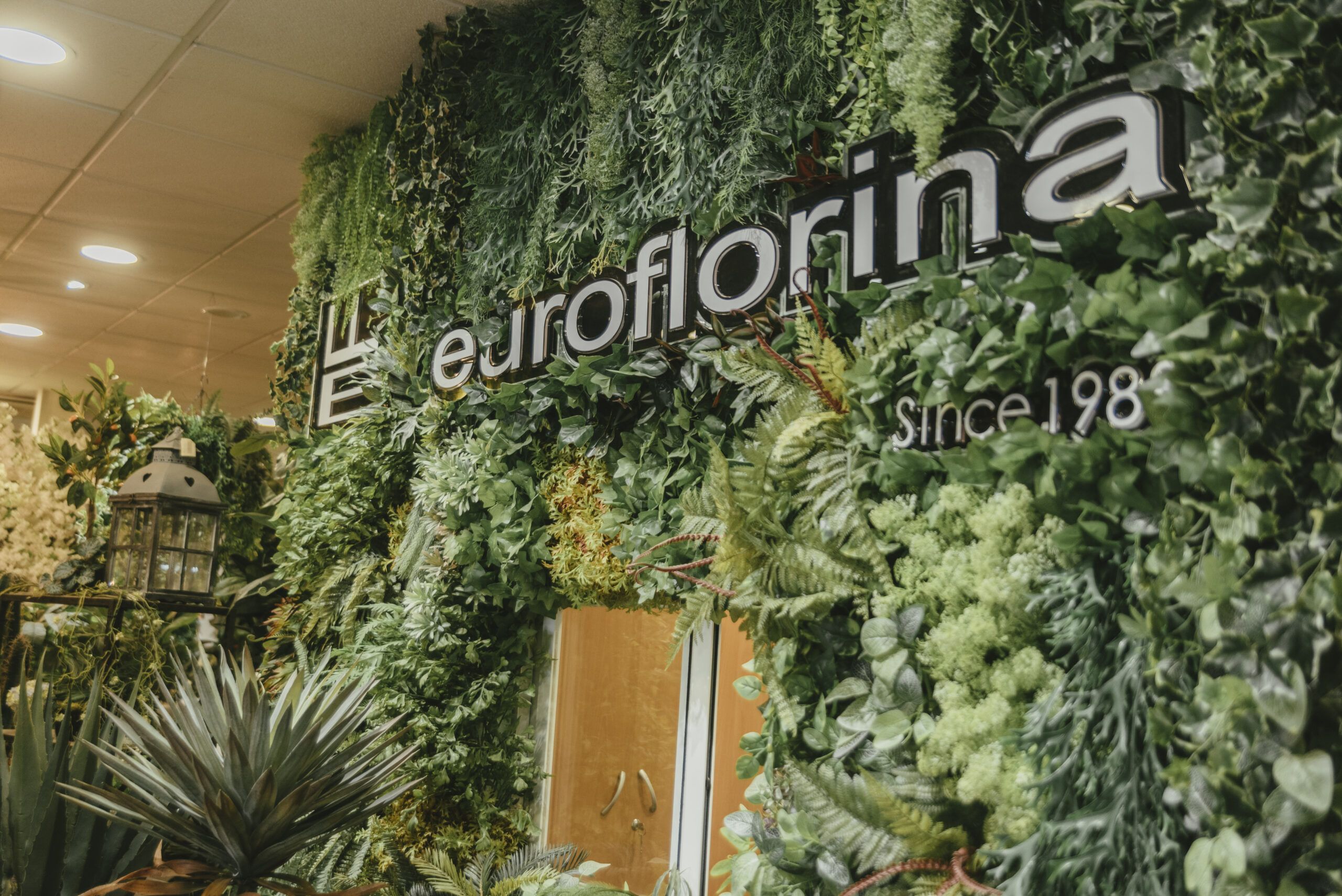 entrada euroflorina