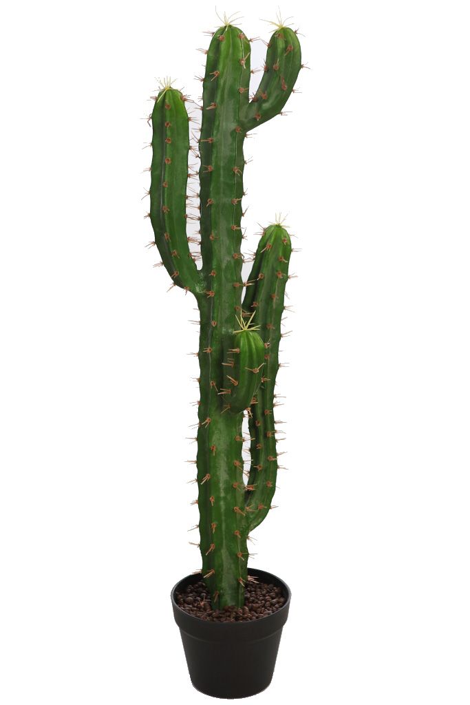 CACTUS ARTIFICIAL